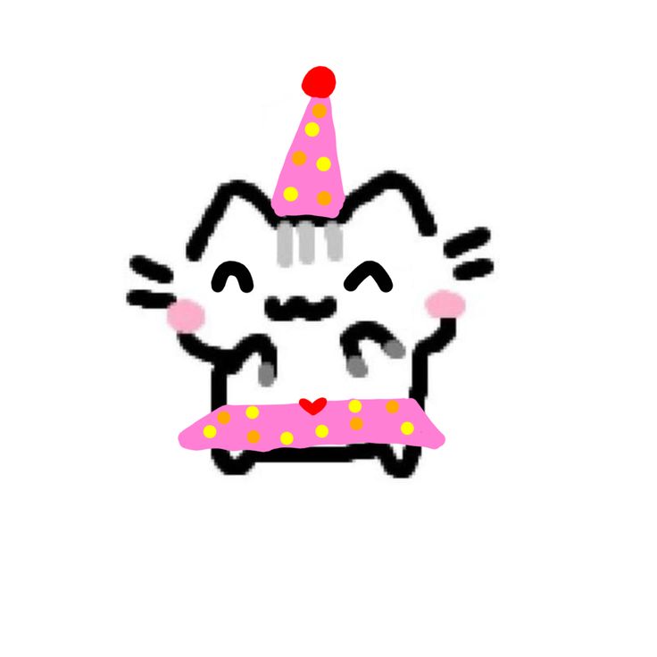 Birthday cat